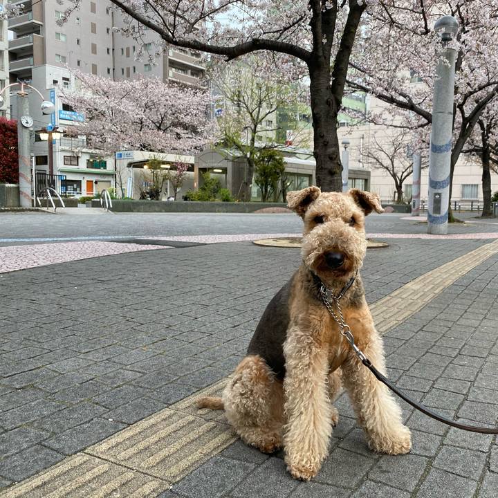 3be70c9c f2c0 488c 9989 f727d782bee6 1585352075356