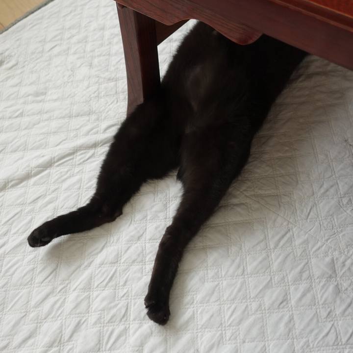 3be713dd 80b8 491a bac1 1419a86f6525 1520385834363