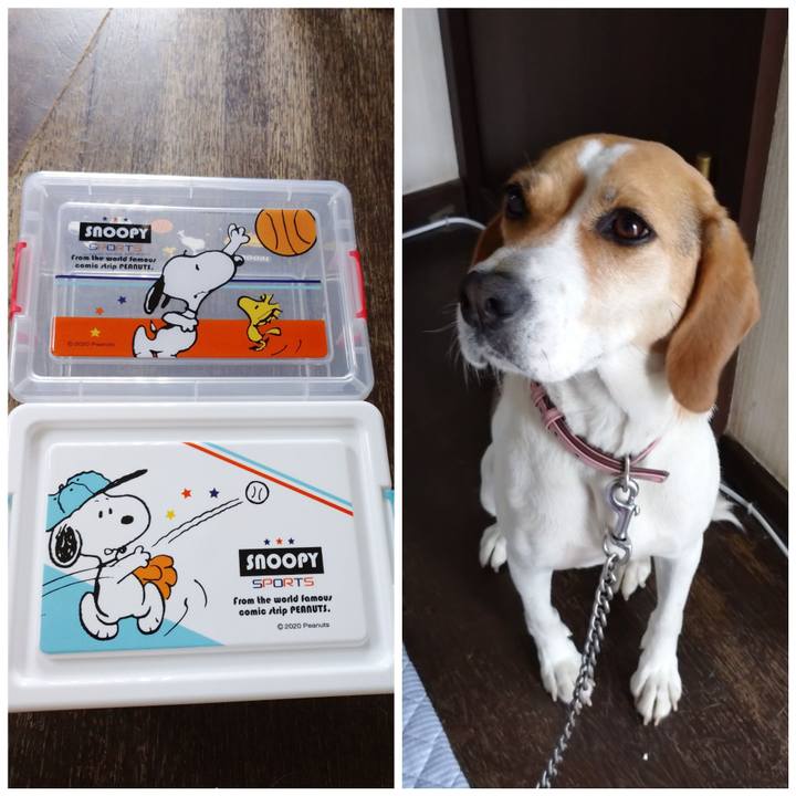 3be74890 a084 4131 a9b8 a09b7a52671f 1592712675776