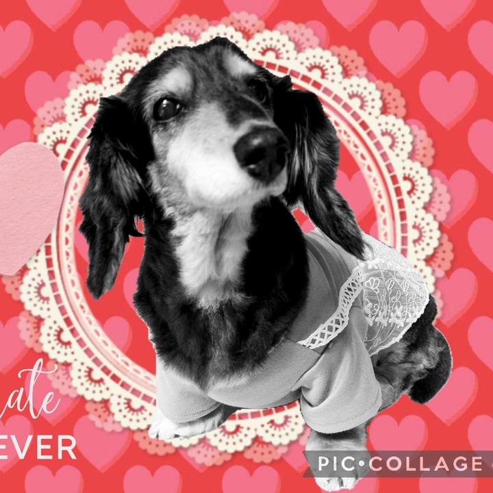 3be7514a 6373 4da0 bc06 9cd7c862d494 1754290262036