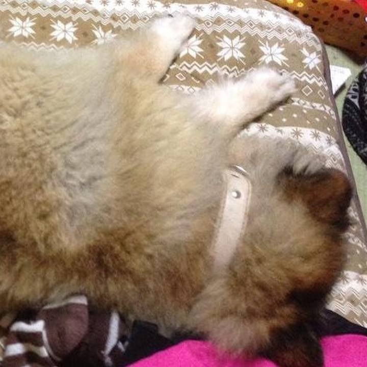 3be75465 a602 482a bd34 3aa31a96eda4 1598774769480