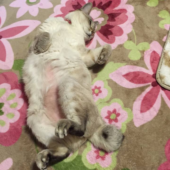 3be76370 4d79 43f2 ae73 54cbe9b2f597 1516973243775