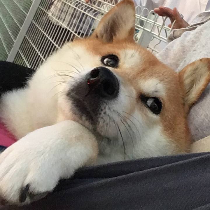 3be76a81 04b0 45c6 b3ea 87db400d34dc 1570960429982