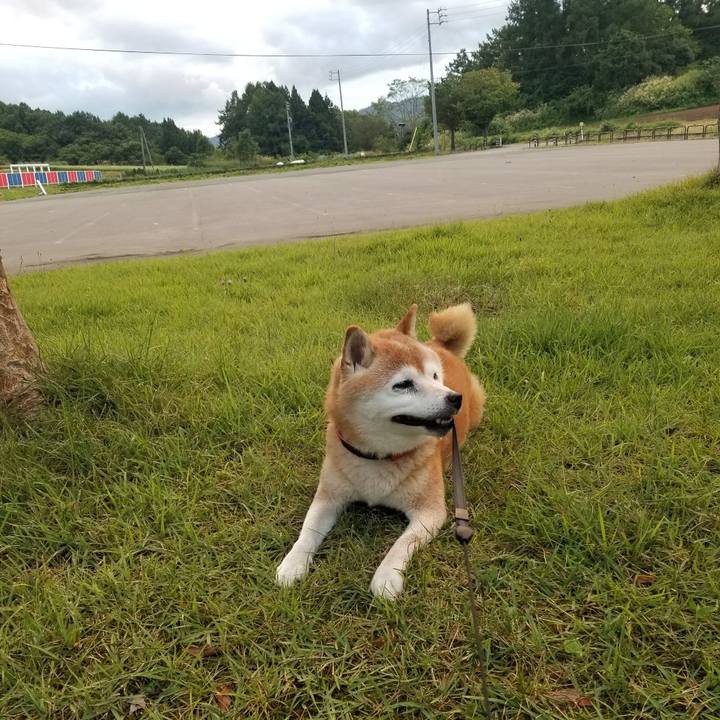 3be76f06 4251 467a 939a 73915a51d8ba 1726476076832