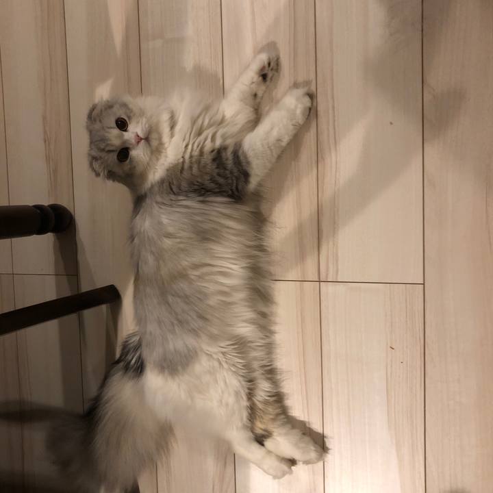 3be78973 6be2 48dd ad3d 272f4293381d 1618397730648