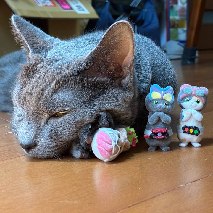 3be7bb7d 9d5f 4f25 802e 90ac388a9683 1751079959027