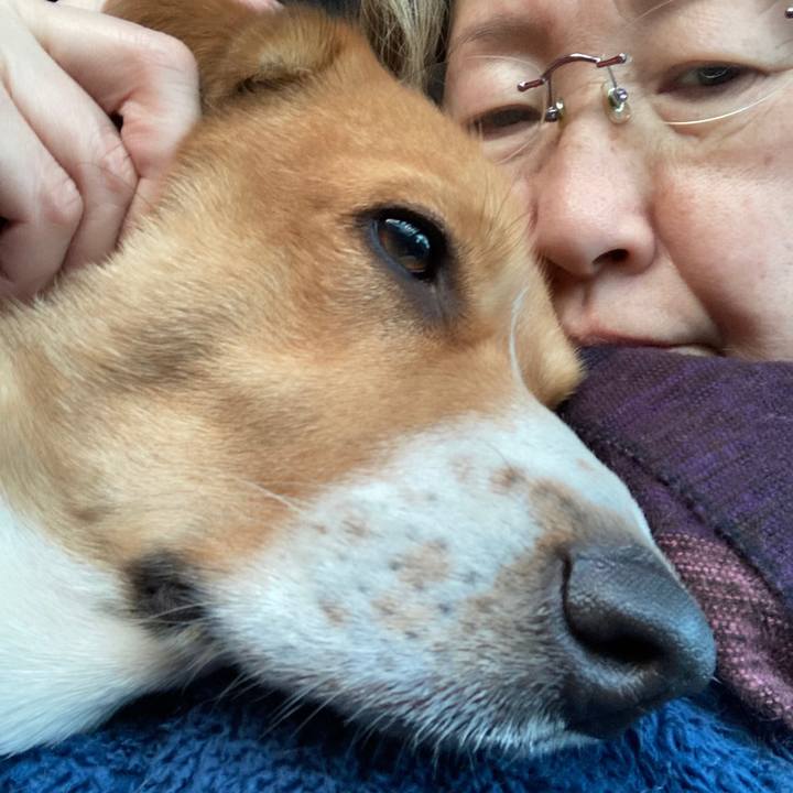 3be7c4d8 25e2 498f bb8f 3e2274544730 1674347568945