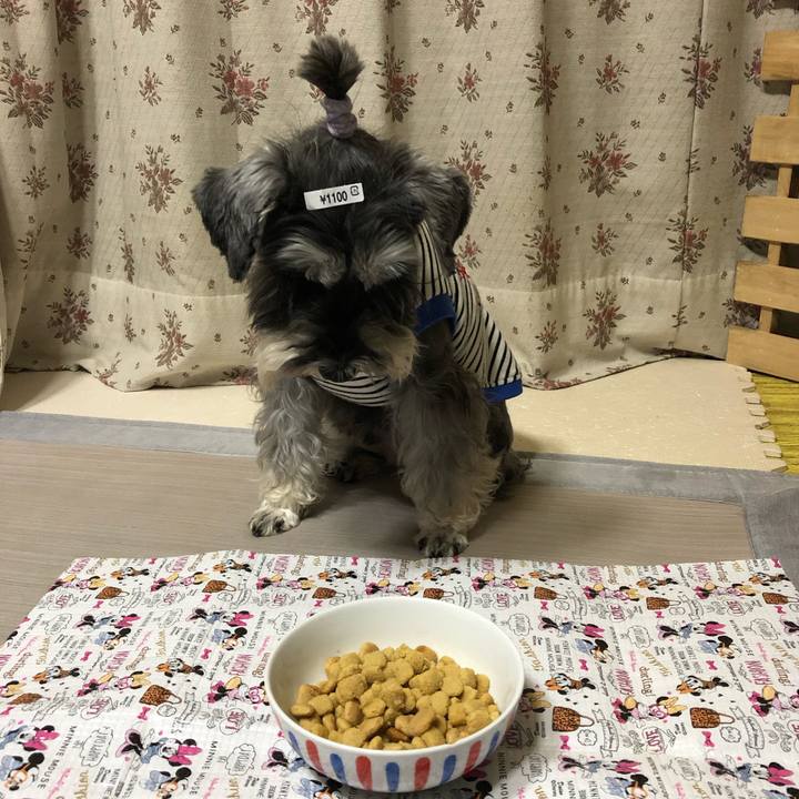 3be7d8e8 e833 4579 9e70 4e90ae86920c 1606485673312