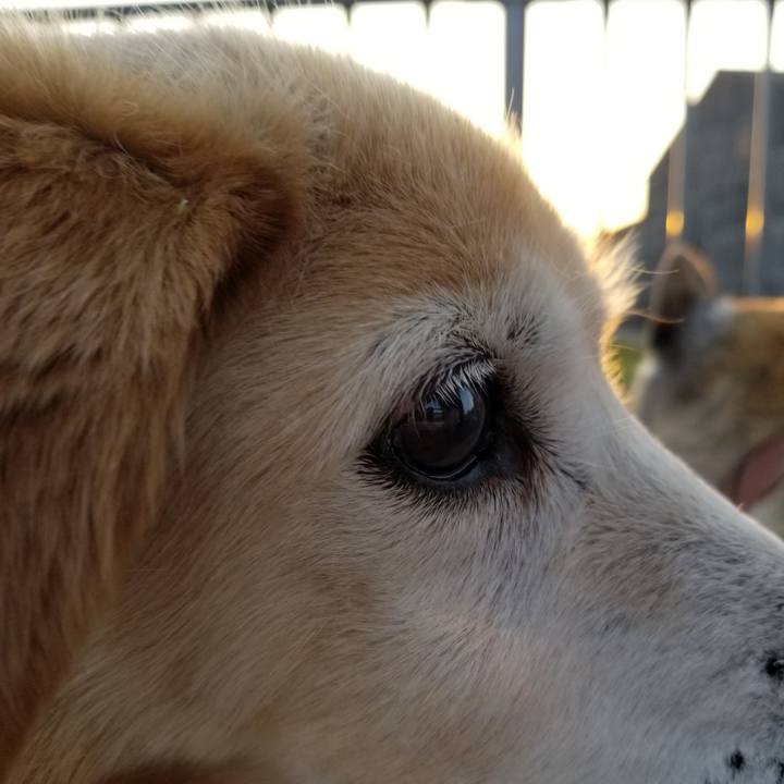 3be7ec1d 67d0 4439 aa9c 0342b97c73ef 1649538035809