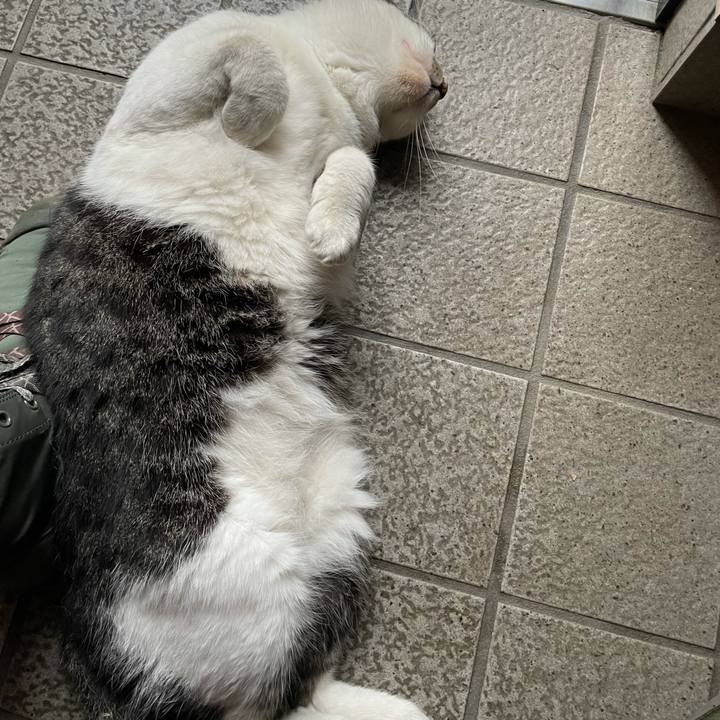 3be819ab 67f4 4b3e a313 50827c4ab563 1629113016539