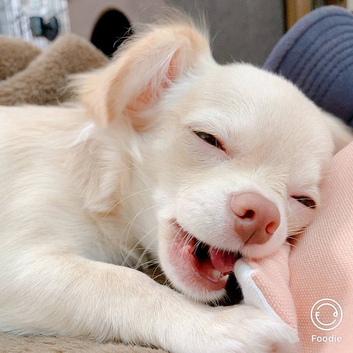 3be83e1a 00ac 4c68 876a 0a3ea0c88bf6 1597744683689