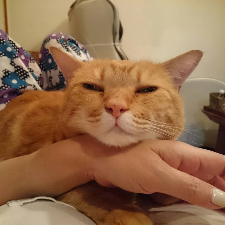 3be860cf e081 4f16 80d3 d482f8f3d3bc 1529034377677