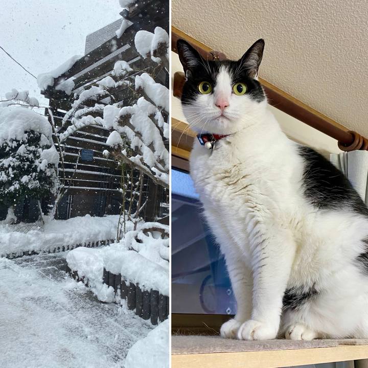 3be8863a 2283 4c23 b0db 3fba5dc713b4 1736550123454