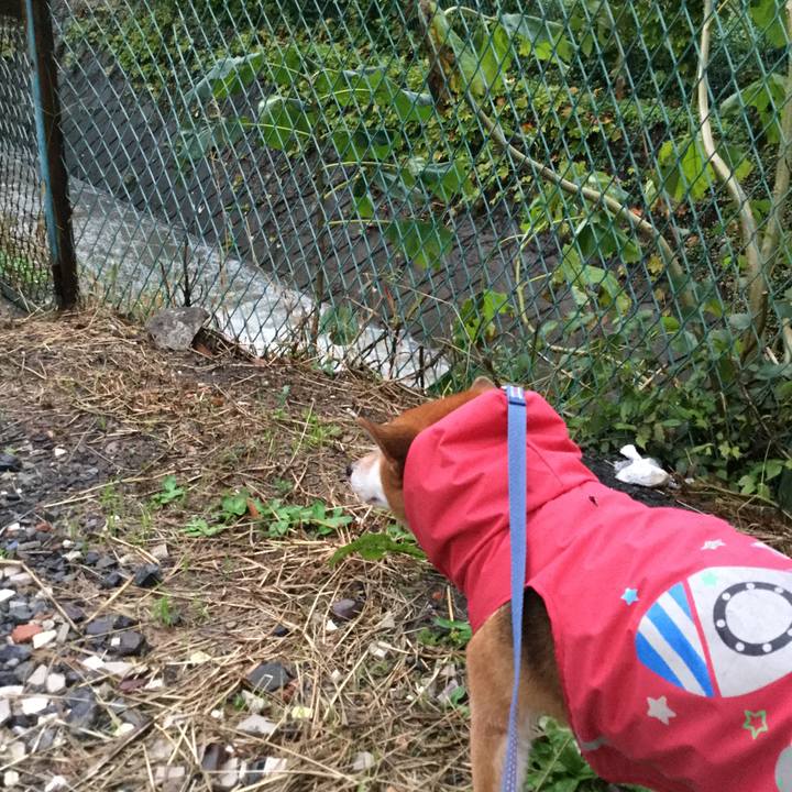 3be8966f 121e 46e4 a2d8 1b08aaacd938 1571989516126