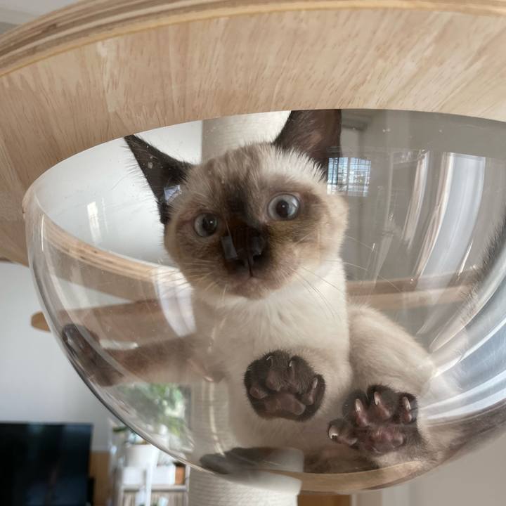 3be89780 791e 4fc9 a7b4 258db344edd5 1690670050927