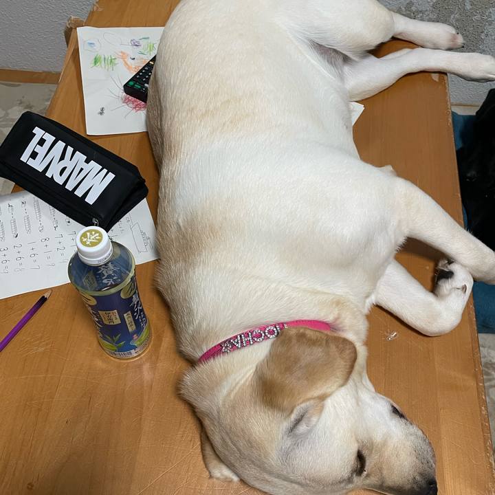 3be8b6e3 3e09 487f 8b0d 1787f1d50bca 1636450900684