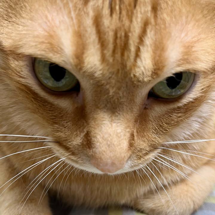 3be8ccbb 7d02 4826 ad97 69c62224d82b 1689430507570