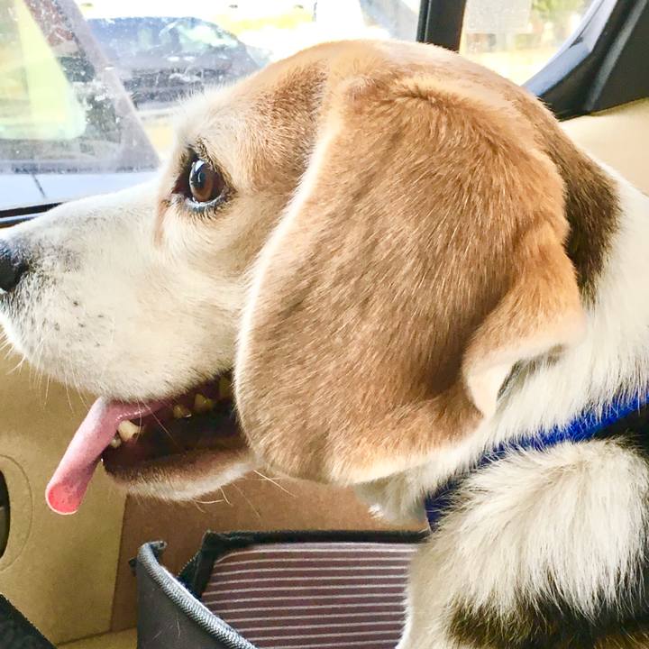 3be9192c 9ac3 4129 afbb 1926548aef87 1771394611755