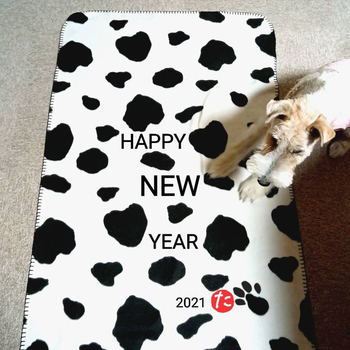 3be93a53 5705 426d ae4a c5b96c8ec6e9 1609457870643