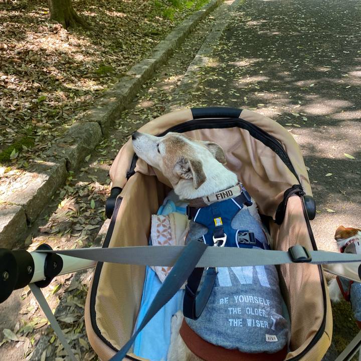 3be96e7f 60c3 4212 b284 984a8ceca6c3 1651539658359