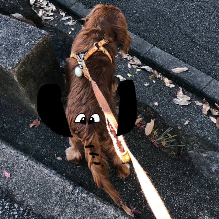 3be9ab29 8a20 4f91 bf12 f2576211e909 1607949717033