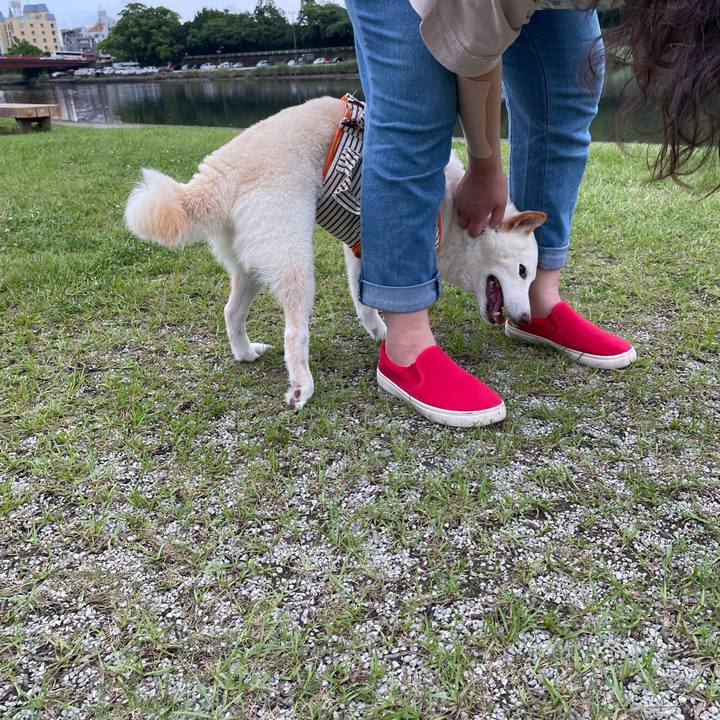 3be9c21c 5e3c 4384 9b20 f66e0123b141 1655719154304