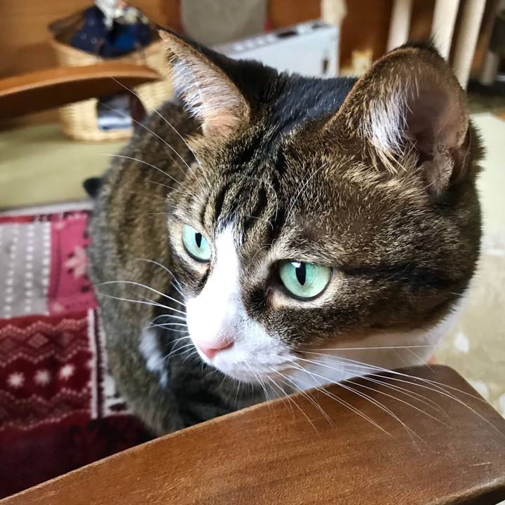 3be9d407 a224 44d1 a1fd 77845bd00e3f 1545619375742