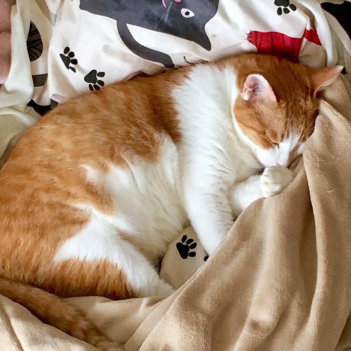 3be9f6ce 33bf 4bb1 94c5 c33765fa802a 1568378986357