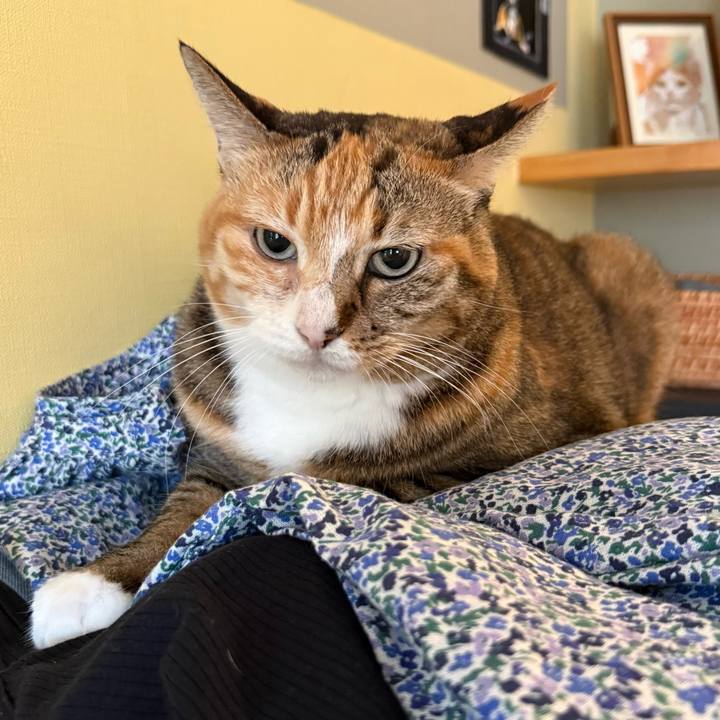 3be9f71d d538 45d9 ba55 616db5bdc22f 1760999246138