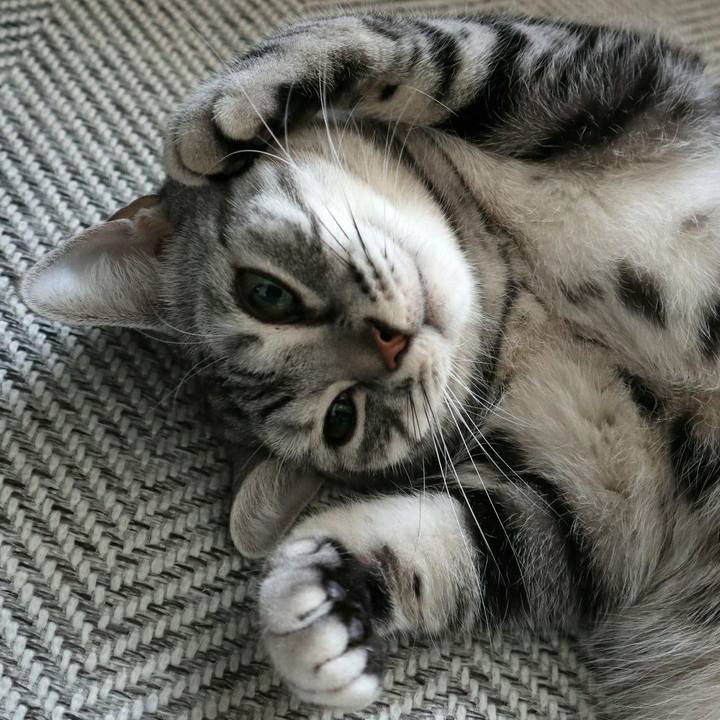 3be9f934 f16a 4f26 926f 9b54d8d0f623 1589015937091