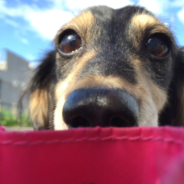 3bea164d 0949 451d a8da d26c43a72434 1570233245329