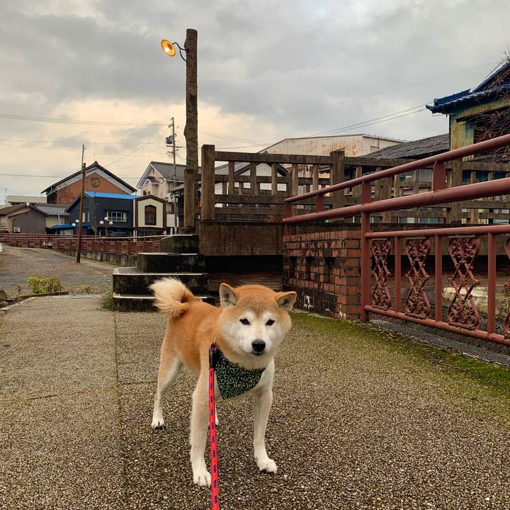 3bea3bd5 fd4c 4fba aeaf 47e3ab489cf7 1669632220175