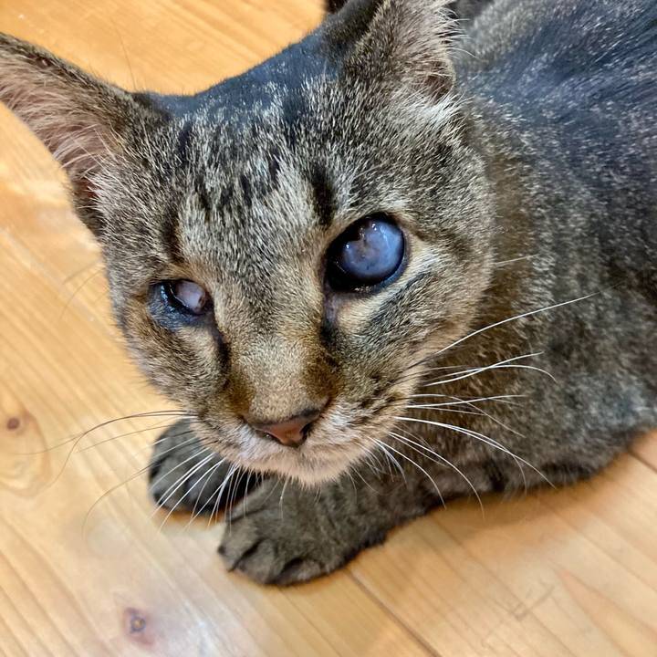 3bea7978 6891 4d8c 8c44 986857b3bdb1 1652947327216