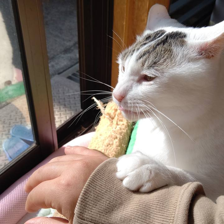 3bea7c4b 2f21 4d48 8384 76e637fd67f7 1648269084451