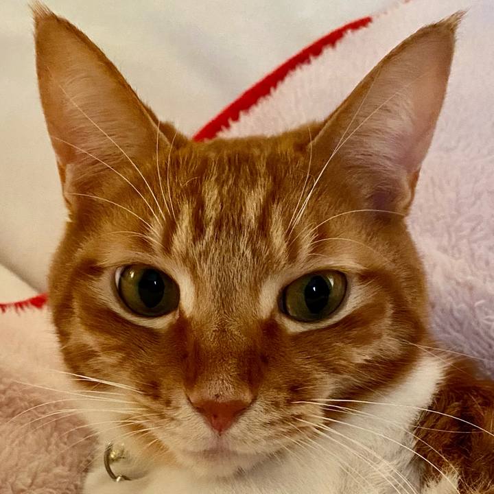 3bea87ea 265e 4bc2 9a5d 409028d2e5db 1613819146598