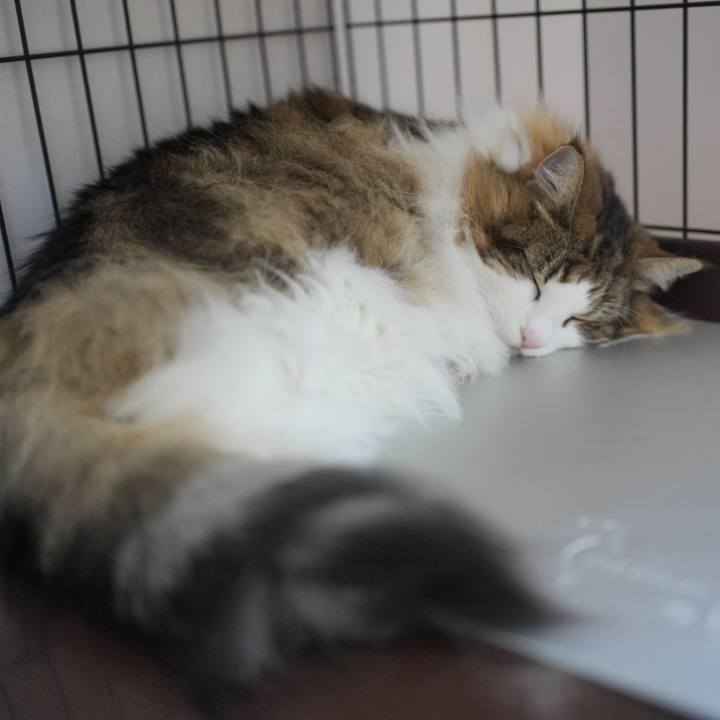 3bead5a3 e072 474b aa3a 494109ac9fc1 1721694735454