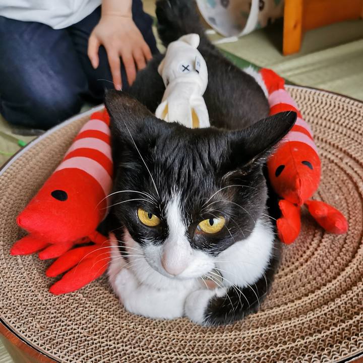 3beb1f60 ab3b 4297 b7f4 f6384ab39738 1658288877658