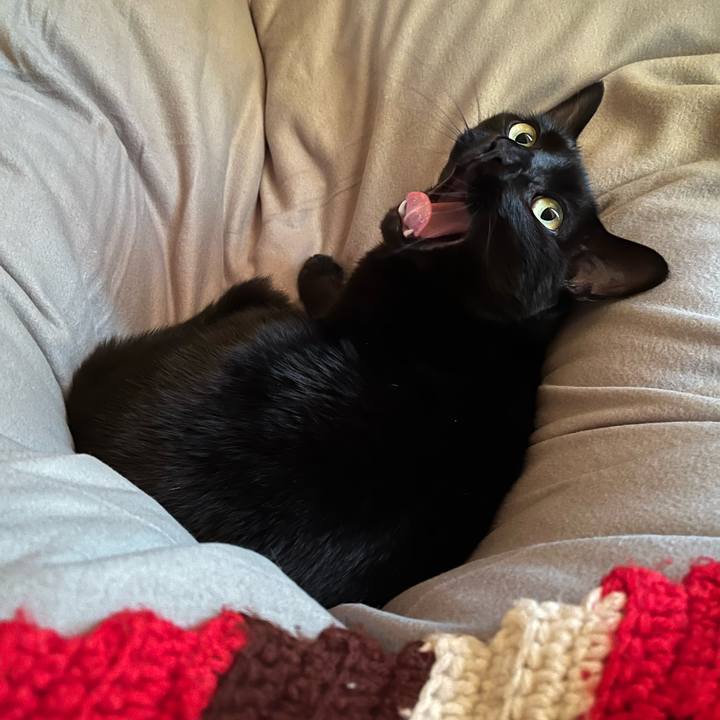 3beb483d 6af4 490f b473 5806ac1095b1 1672905580036