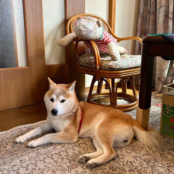 3beb5ae8 9909 4876 aafd 1d434fea6079 1741432423340