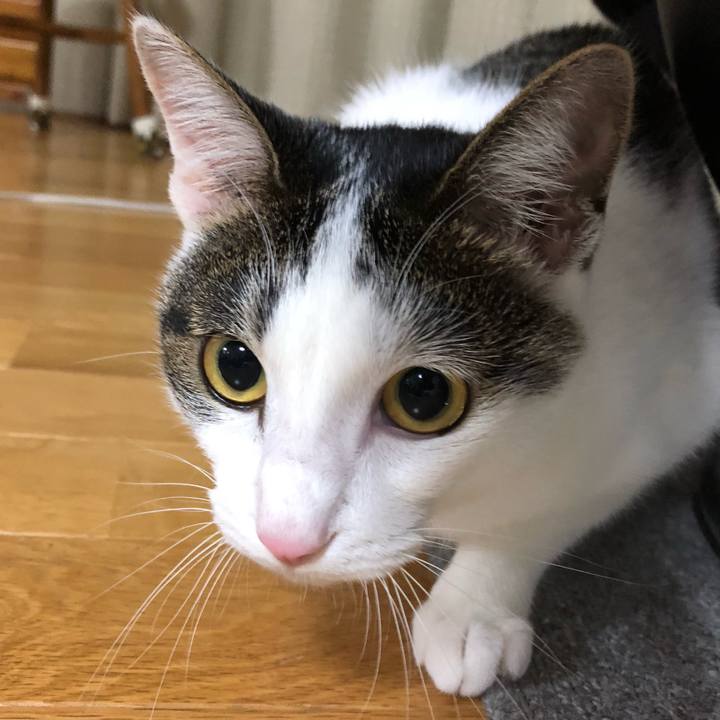 3beb5b3d 5ec1 407f b3a4 00338c8b3248 1594647937508