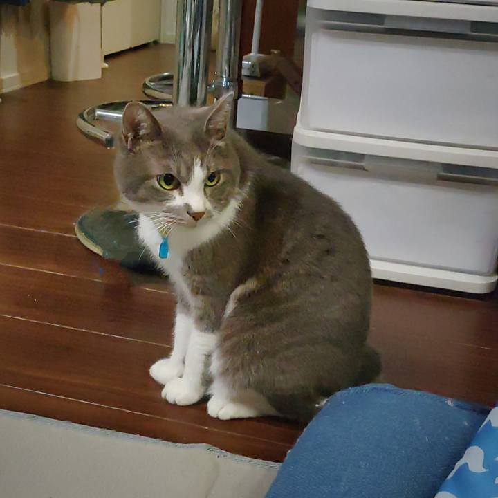 3beb7592 919f 4b51 b118 15dac2c2ff3e 1722943507809