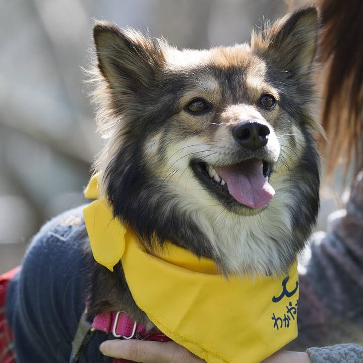 3beb8cde 6eb3 46f8 b477 735c4cb8f798 1552040234067