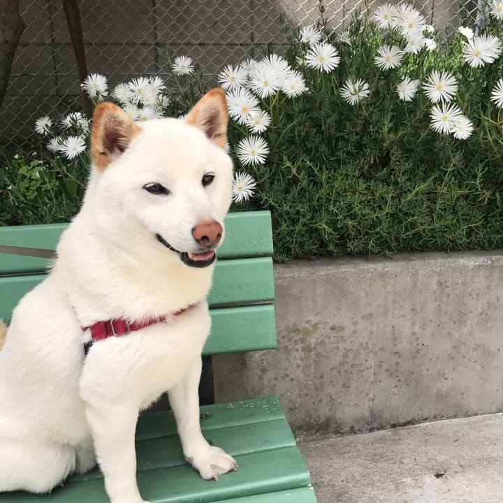 3beb8d46 642f 4a0e aa55 a218ee276356 1526093051003