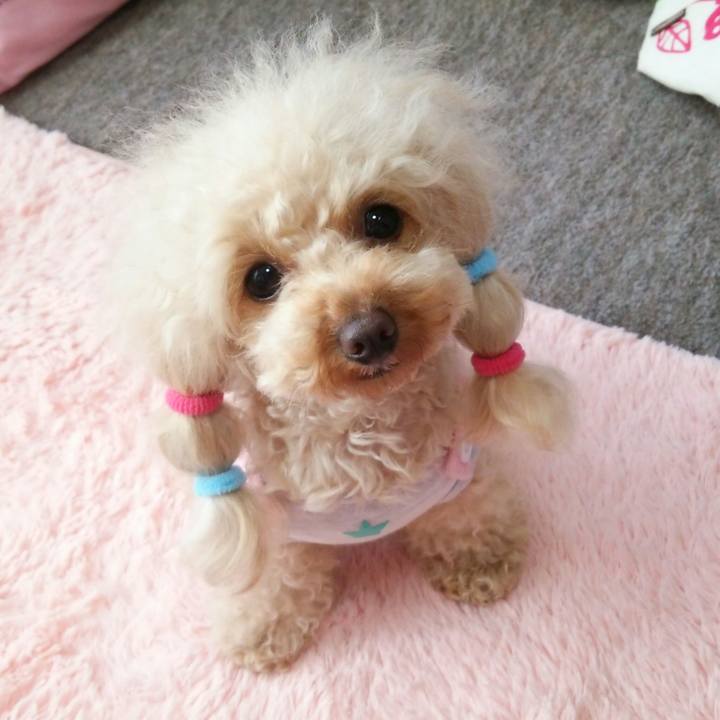 3beb9ffa bc26 4d8d 93eb 8f0e76aca4ff 1516277012513