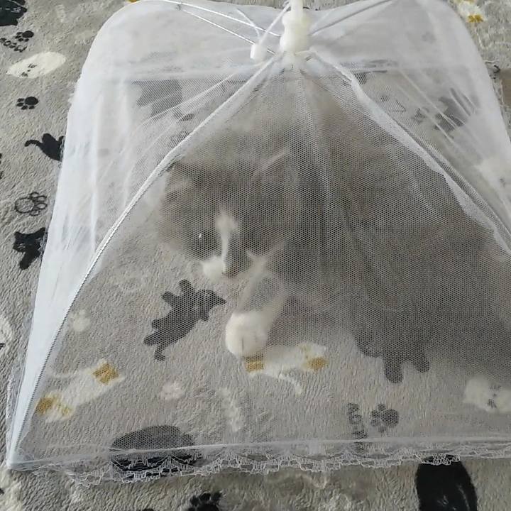 3bebccb5 3086 45f0 9ac1 6bb4df140e21 1561849643096