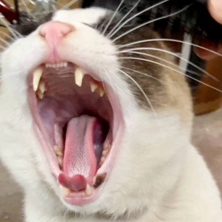 3bec0511 6a64 4508 9868 3c4977ab55bb 1740103531927