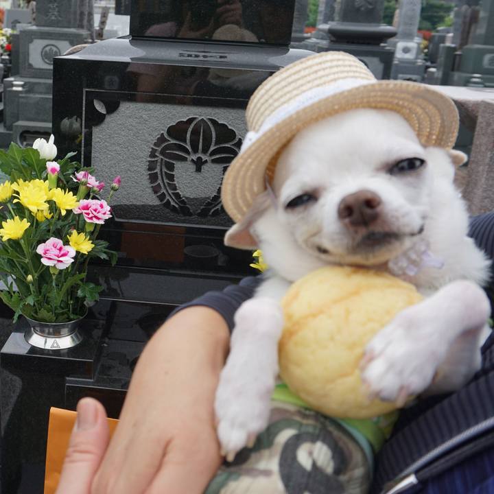 3bec0f61 960c 4bd9 ac08 aa780529cc76 1563767541917