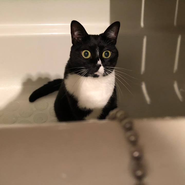 3bec4285 fffa 4a4c a174 60dffb10a362 1544481174573