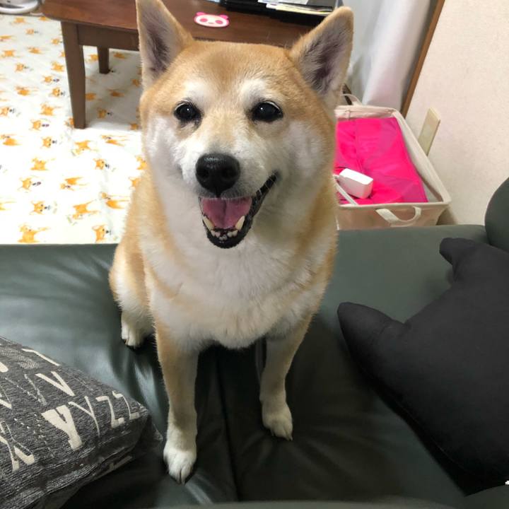 3bec72c0 5613 41c7 bcf0 bed1180fc210 1590324854186