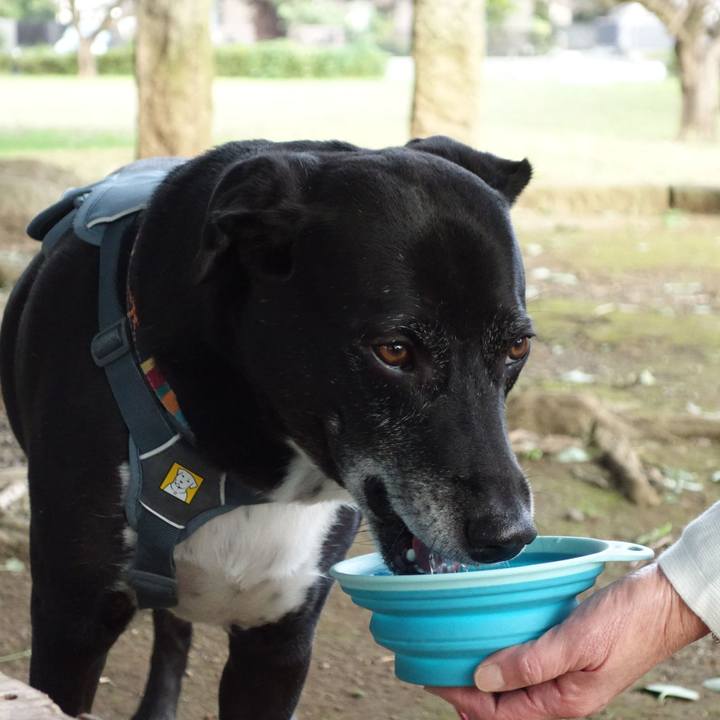 3bec8520 416f 4e7e 997b c7fc26408d9b 1729471512010